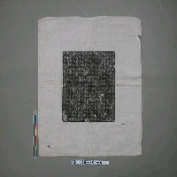 藏品(唐故滎陽鄭賓妻博陵崔氏墓誌銘)的圖片